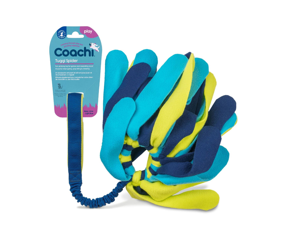 Coachi Tuggi Spider Dog Toy - Navy, Lime & Light Blue