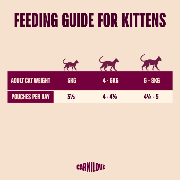 Carnilove Kitten Wet Cat Food Pouches - Rabbit with Marigold in Gravy - 24x85g Pouches