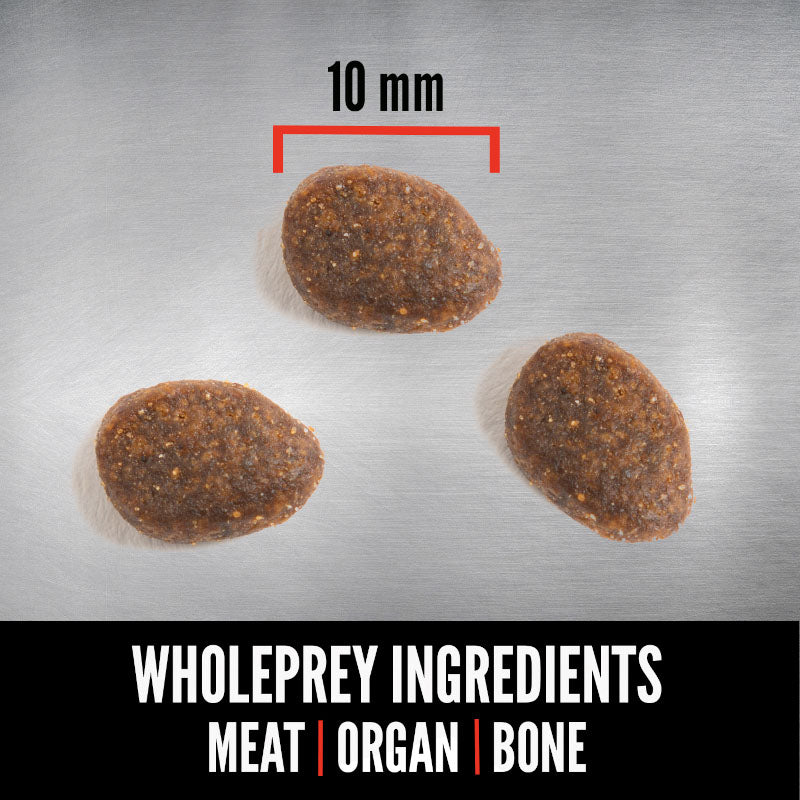 Orijen Original Grain Free Dry Cat Food