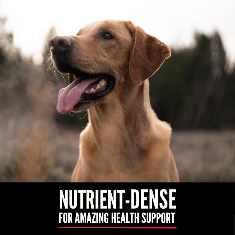 Orijen Original Grain Free Dry Dog Food