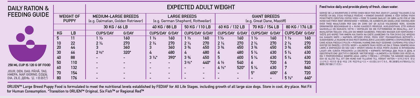 Orijen Puppy Large Breed Grain Free Dry Dog Food