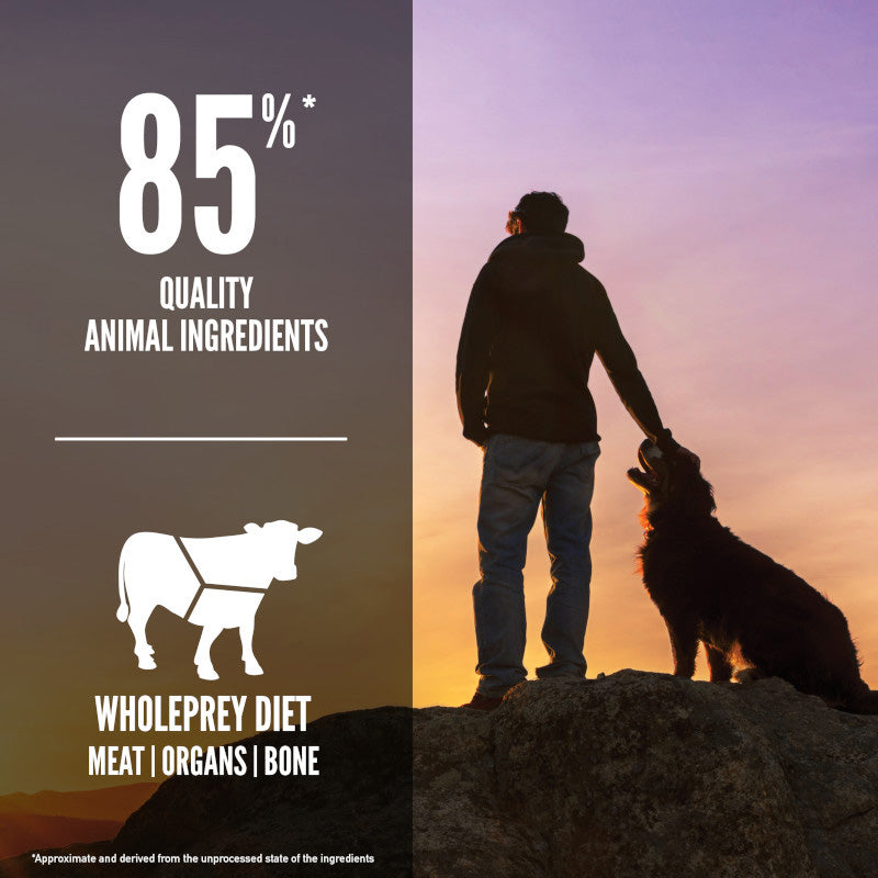 Orijen Regional Red Grain Free Dry Dog Food