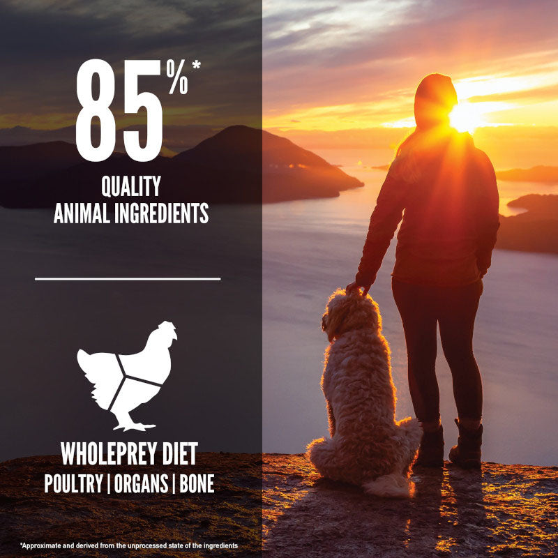 Orijen Senior Grain Free Dry Dog Food