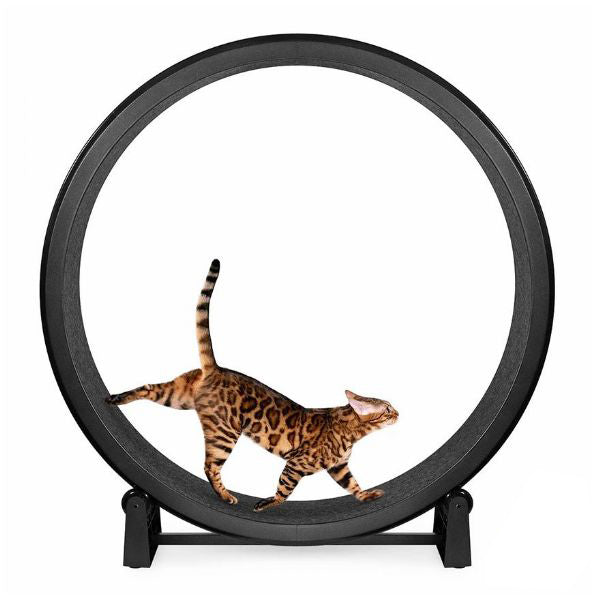 One Fast Cat Exercise Wheel - Gen 7 - 48 inches - Black