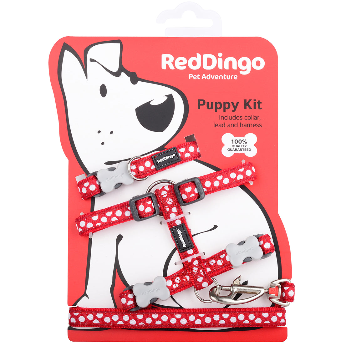 Puppy Collar, Lead & Harness - Red & White Spots