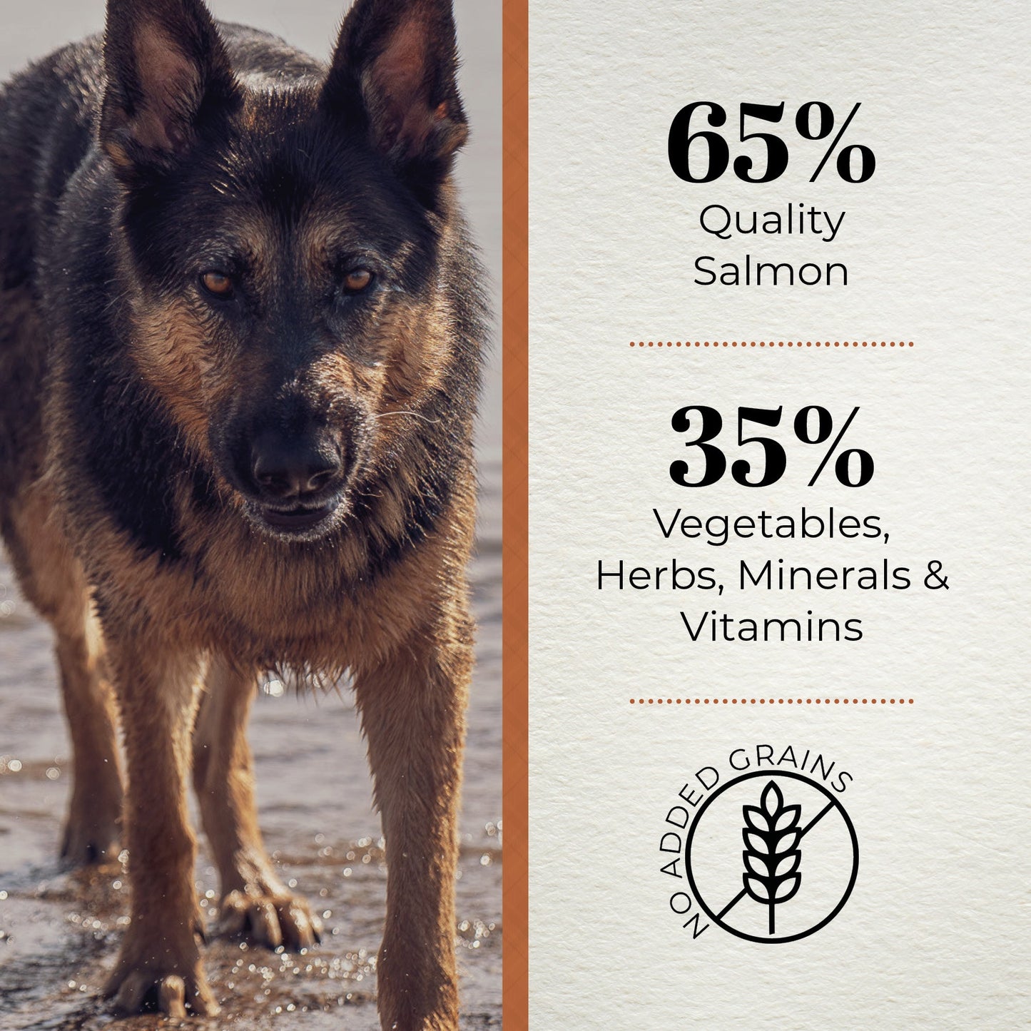 Ferguson Scottish Salmon Adult Dry Dog Food