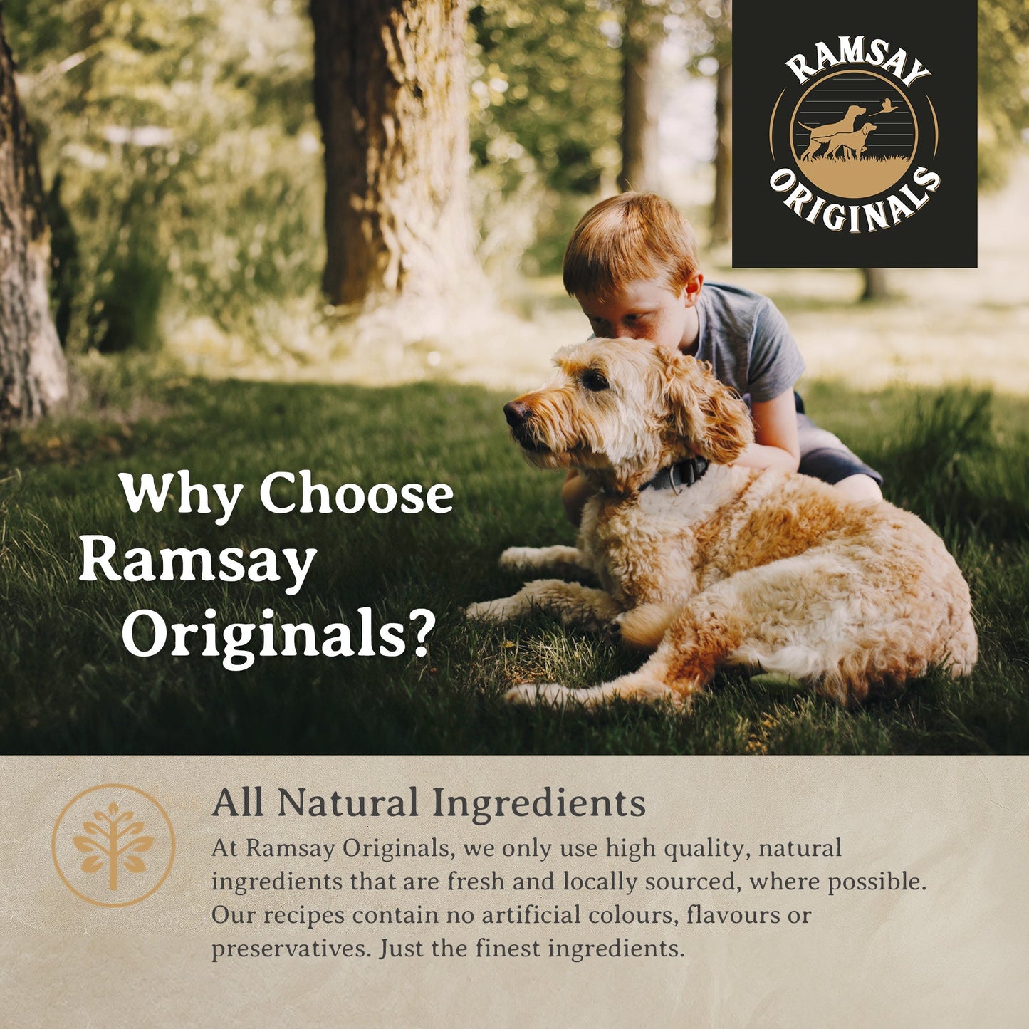 Ramsay Originals Grain Free Adult Dry Dog Food - Salmon & Potato