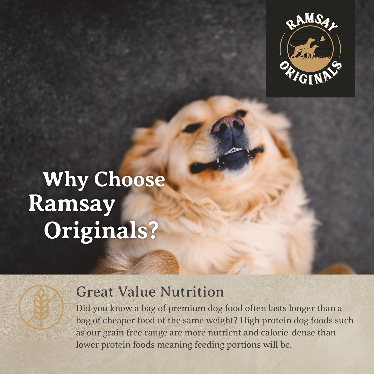 Ramsay Originals Grain Free Adult Dry Dog Food - Salmon & Potato