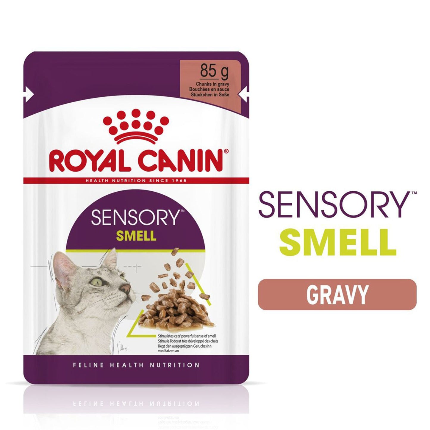 Royal Canin Feline Health Nutrition Sensory Smell in Gravy Wet Cat Food - 12x85g Pouches