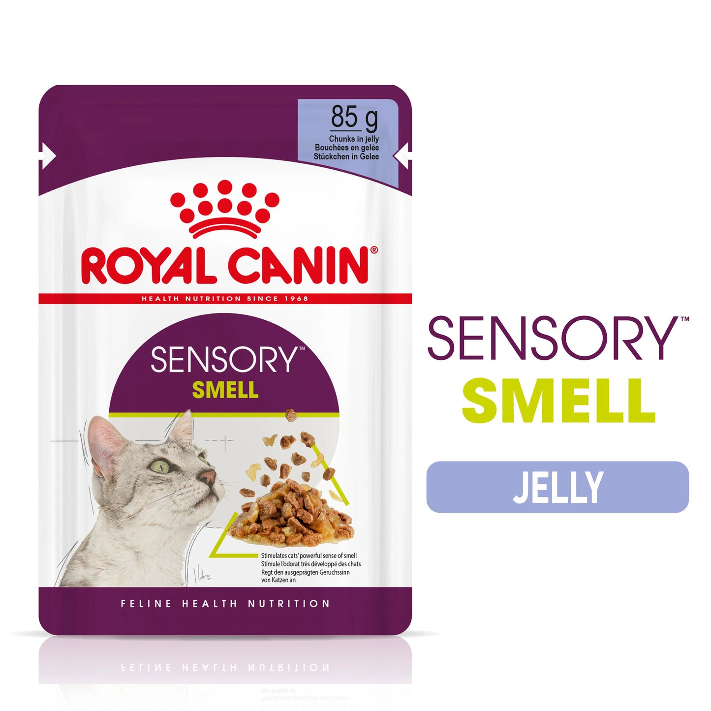 Royal Canin Feline Health Nutrition Sensory Smell in Jelly Wet Cat Food - 12x85g Pouches