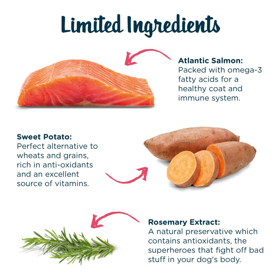 Snif-Snax Tasty Toppers Dog Treats - Salmon & Sweet Potato - 160g