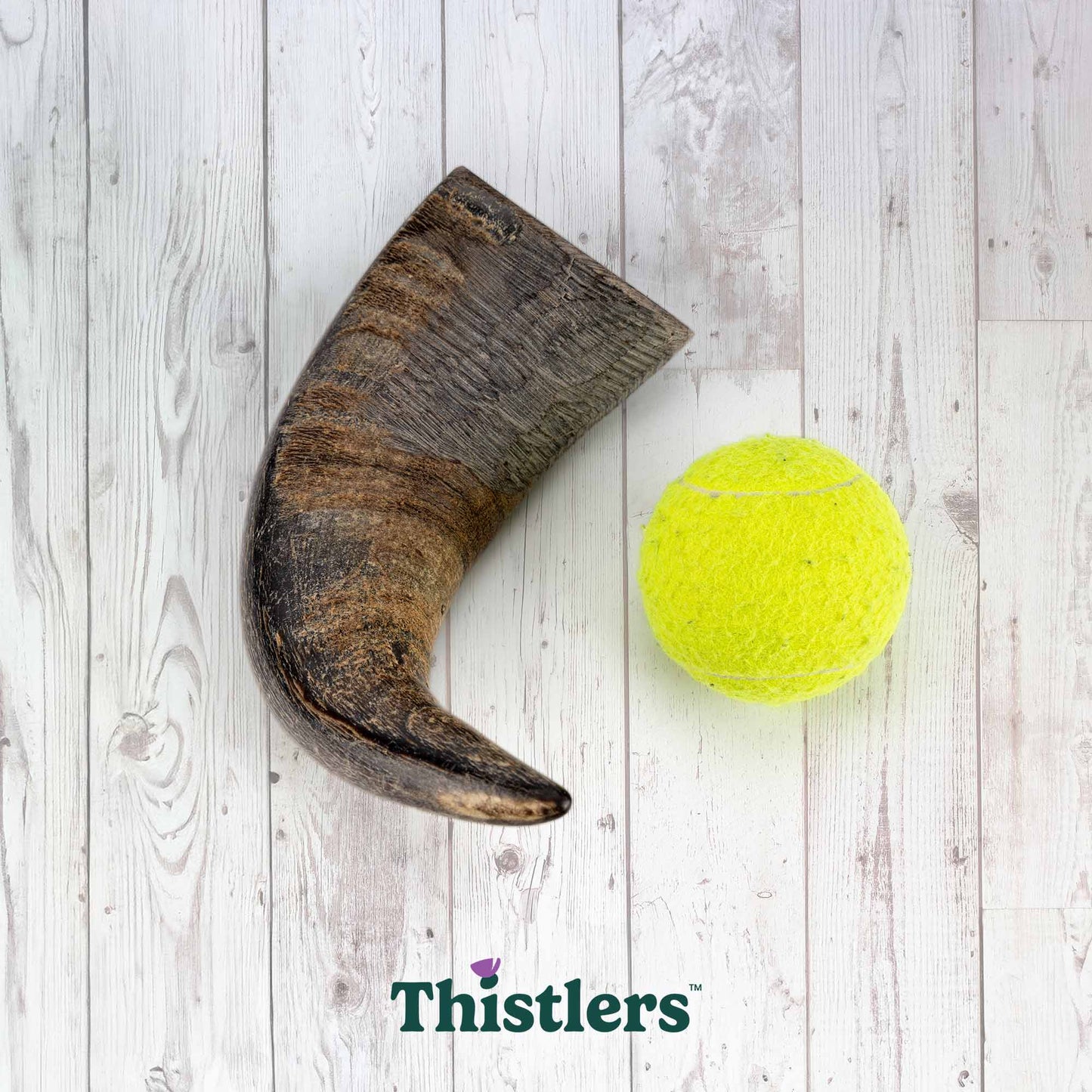Thistlers Buffalo Horn Dog Chew - Large