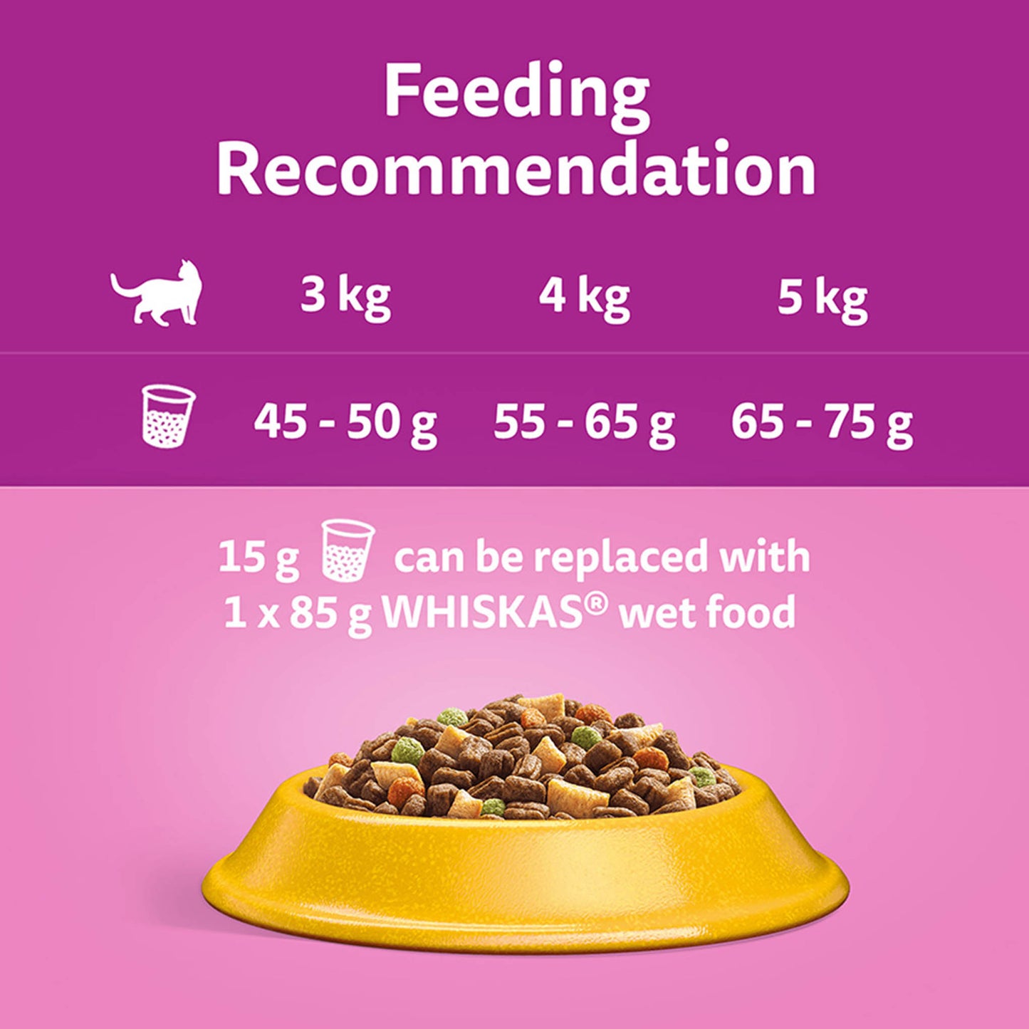 WHISKAS 1+ Adult Dry Cat Food - Chicken