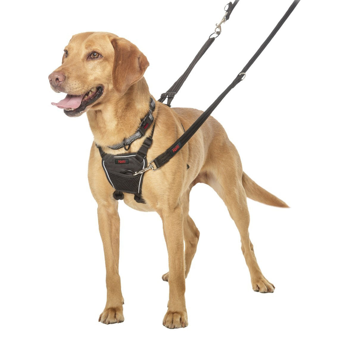 Halti No Pull Harness Large – Petplanet