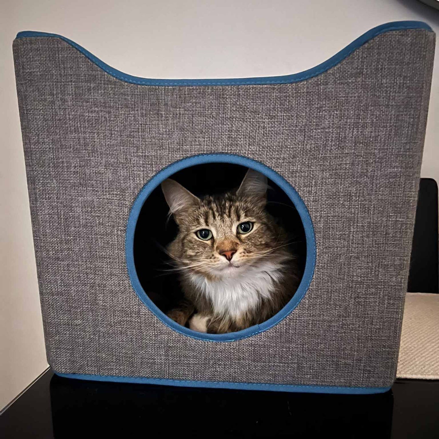 Purrshire Foldable Cat Condo