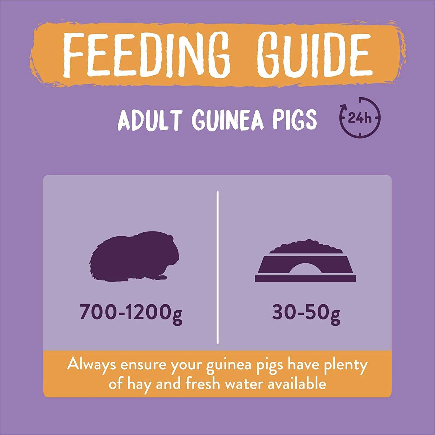 Burgess Excel Tasty Nuggets for Guinea Pigs - Blackcurrant & Oregano