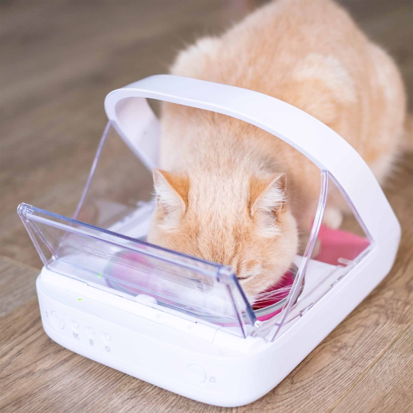 SureFeed Microchip Pet Feeder Connect & Hub Bundle