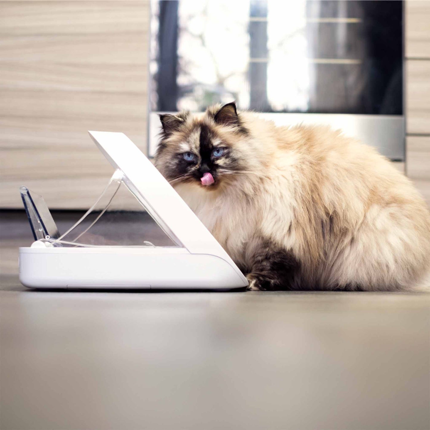 SureFeed Microchip Pet Feeder Connect & Hub Bundle