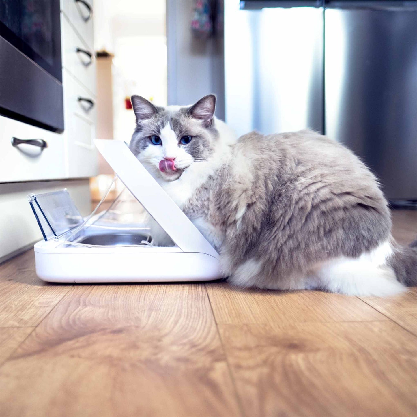 SureFeed Microchip Pet Feeder Connect & Hub Bundle