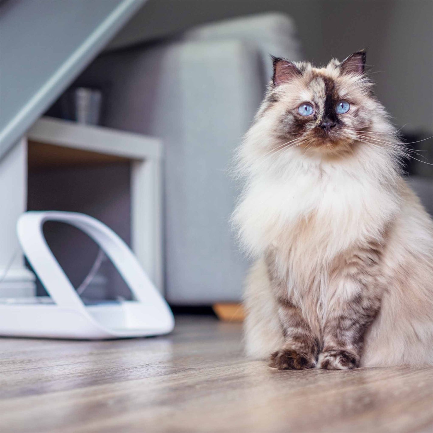 SureFeed Microchip Pet Feeder Connect & Hub Bundle