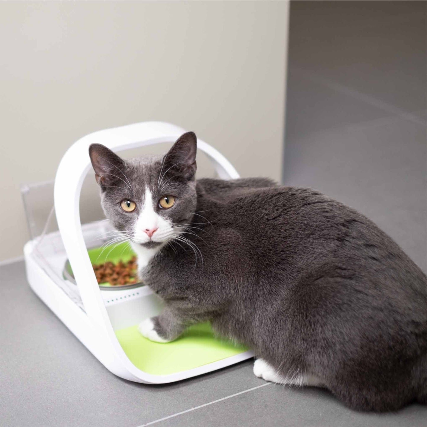 SureFeed Microchip Pet Feeder Connect & Hub Bundle