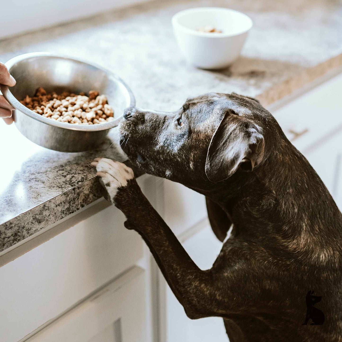 Barkshire Stainless Steel Bowl 25cm