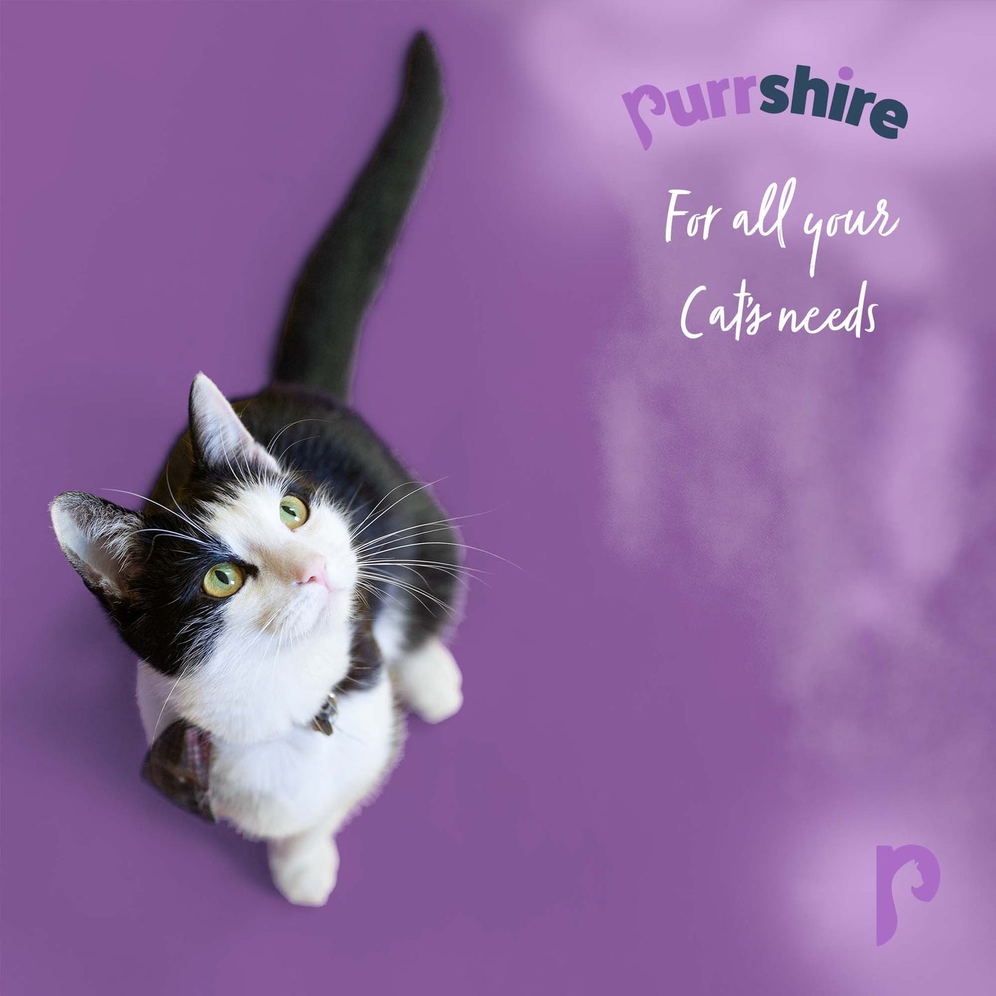 Purrshire Incline Cat Scratcher