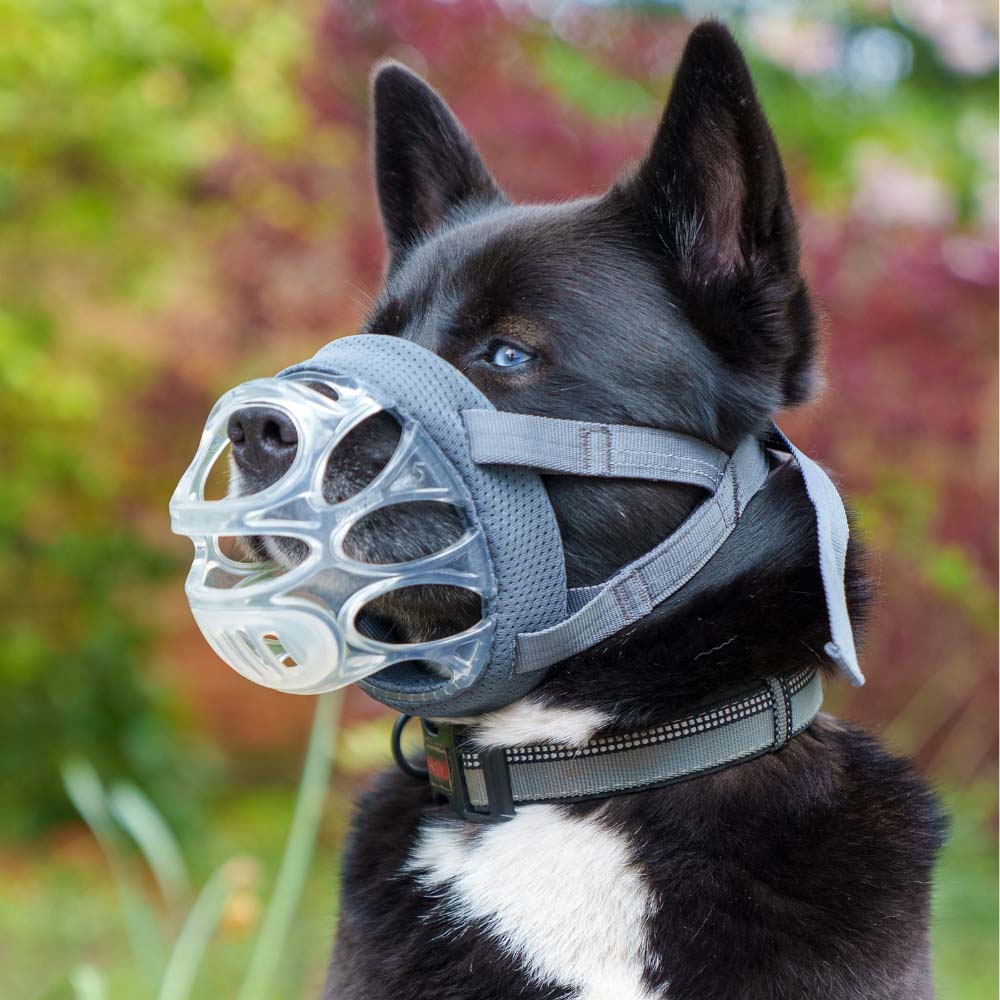 Baskerville INVISA Dog Muzzle - Size 5
