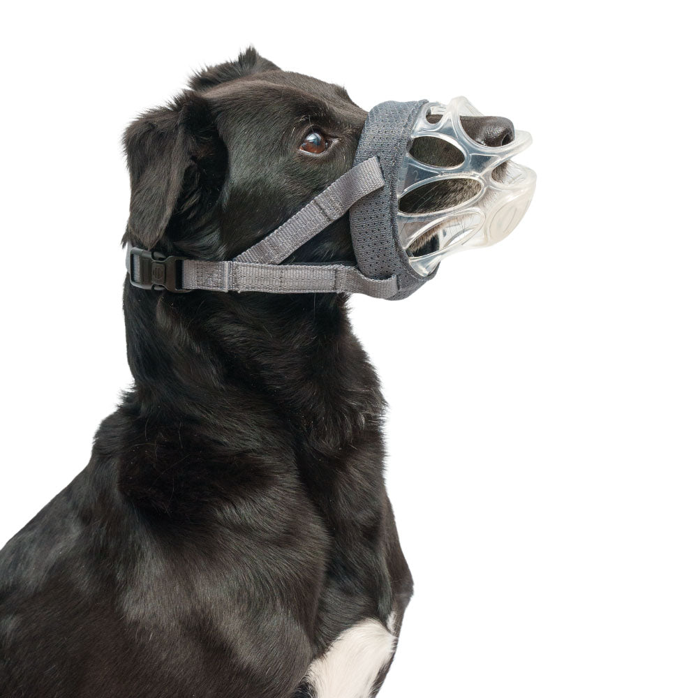 Baskerville INVISA Dog Muzzle - Size 2