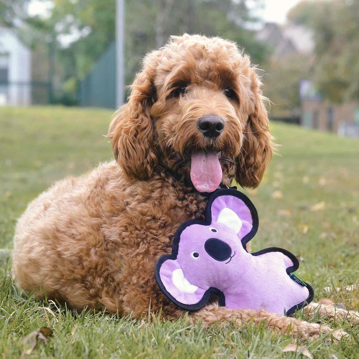 Beco Rough & Tough Recycled Koala Dog Toy - Medium