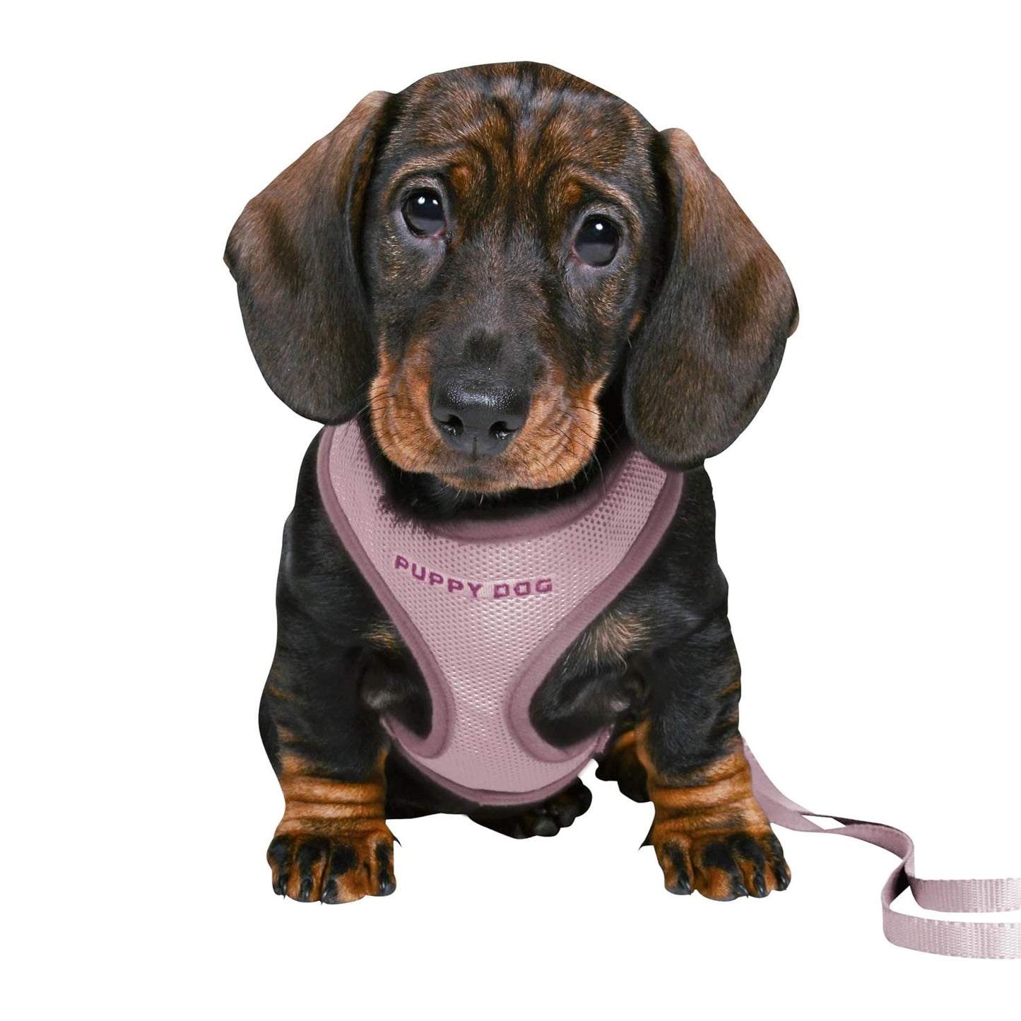Trixie Soft Puppy Harness with Lead - Lilac