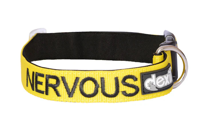 Friendly Dog Collars "Nervous" Dog Collar