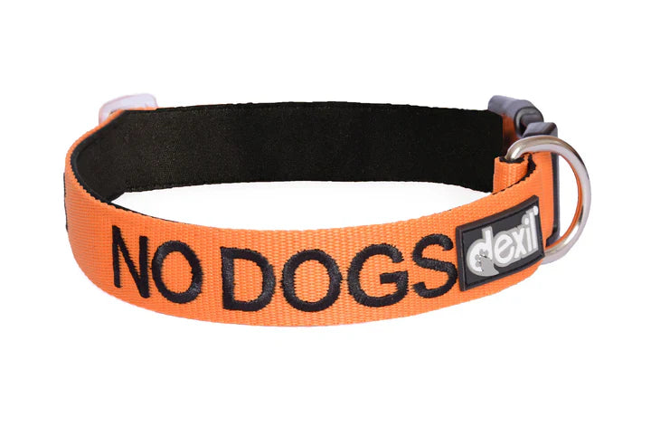Friendly Dog Collars "No Dogs" Dog Collar