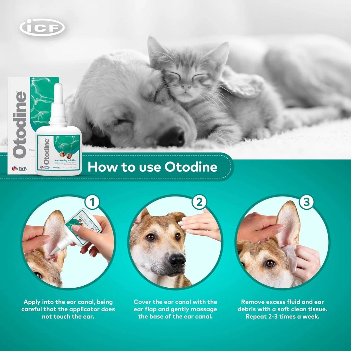 Otodine Ear Cleaner Solution for Cats and Dogs - 100ml