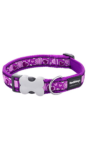 Breezy Love Dog Collar - Purple