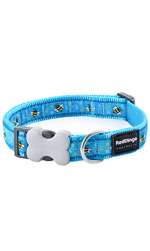 Bumble Bee Dog Collar - Turquoise