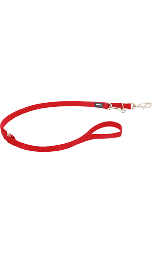Training Dog Lead - Red