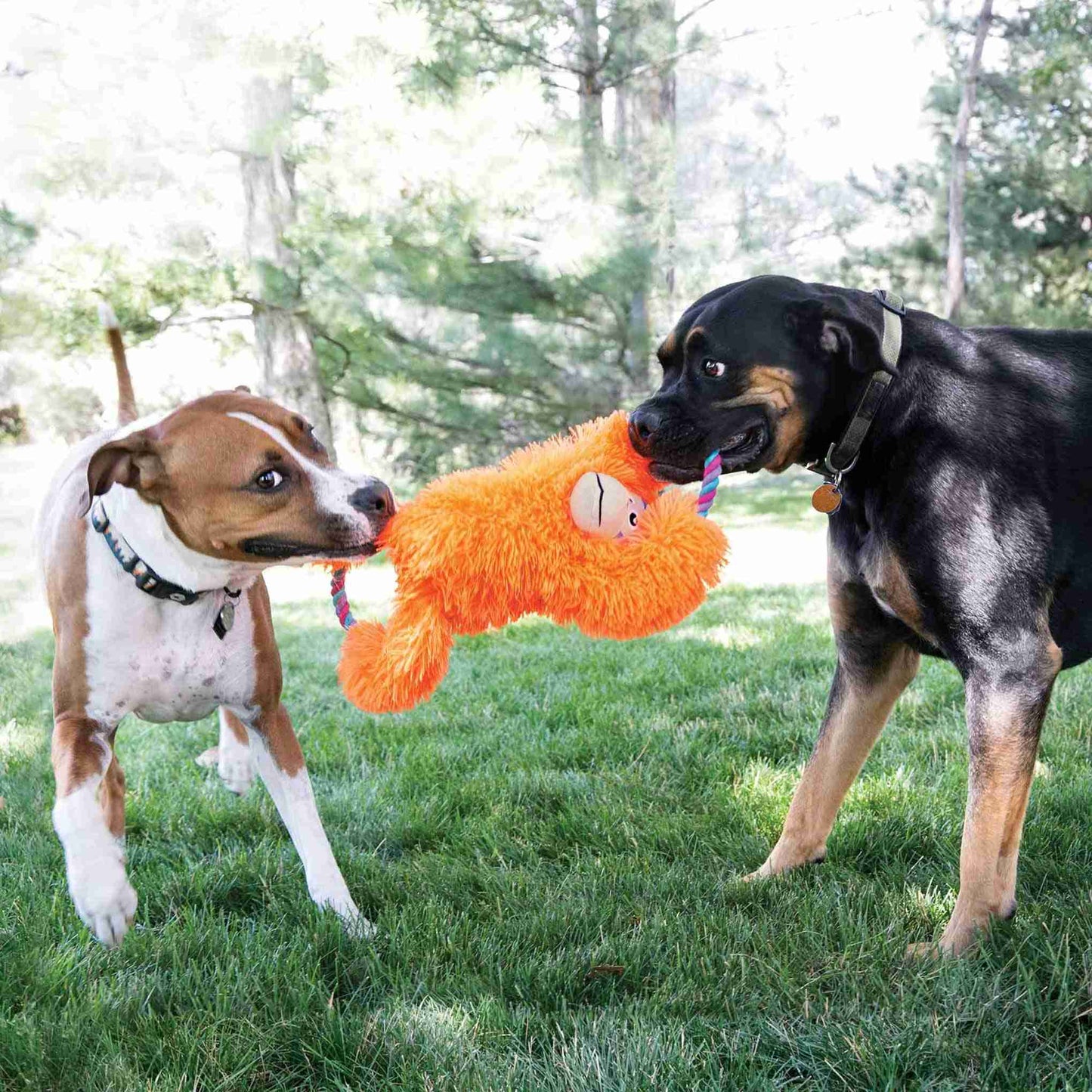 KONG Tuggz Monkey Dog Toy - XL