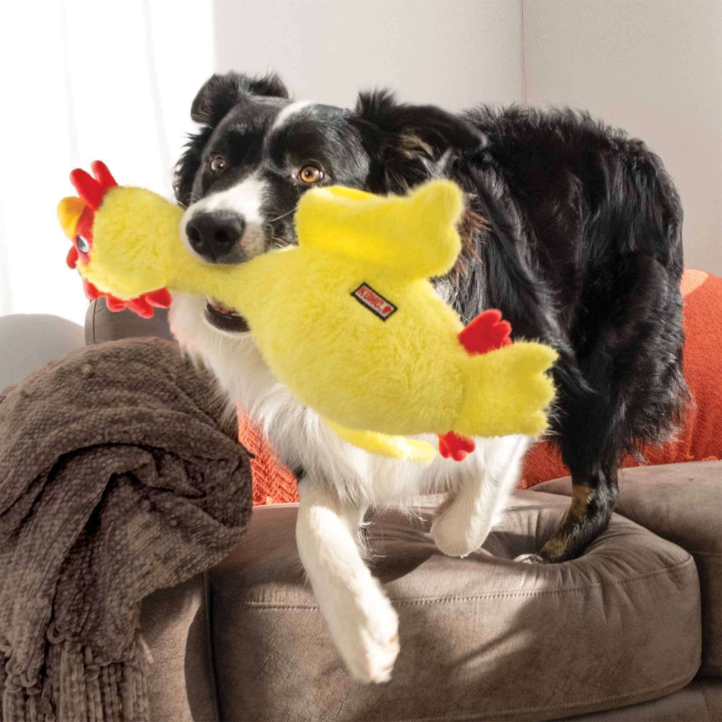 KONG Scruffs Chicken Dog Toy - Medium