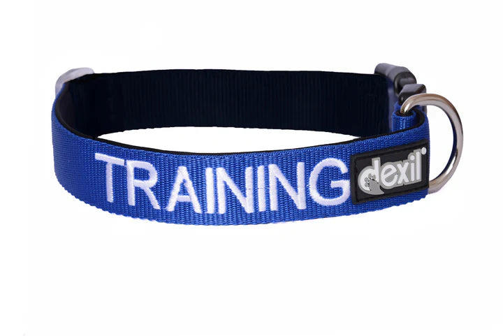 Friendly Dog Collars "Training" Dog Collar