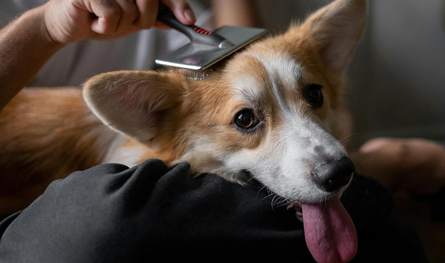 How do I tackle knots and tangles?