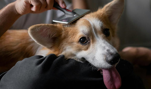 How do I tackle knots and tangles?