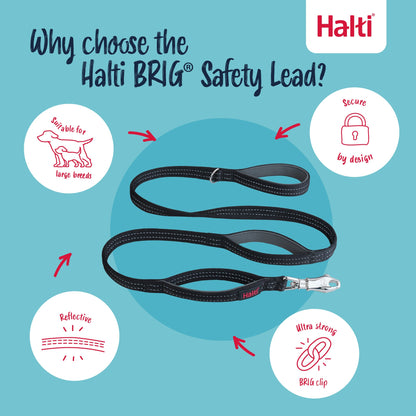 Halti BRIG Safety Neon Large Dog Lead Neon - Black