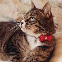 Rosewood Catwalk Collection Bow Tie Red Cat Collar