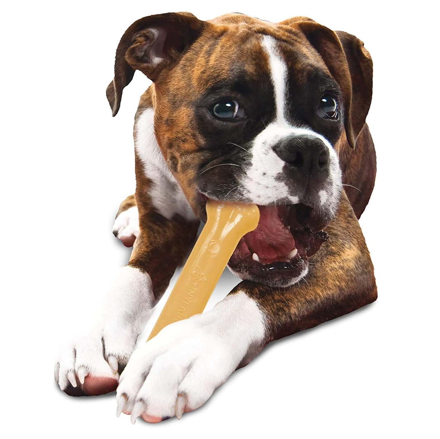 Nylabone Extreme Bone - Large