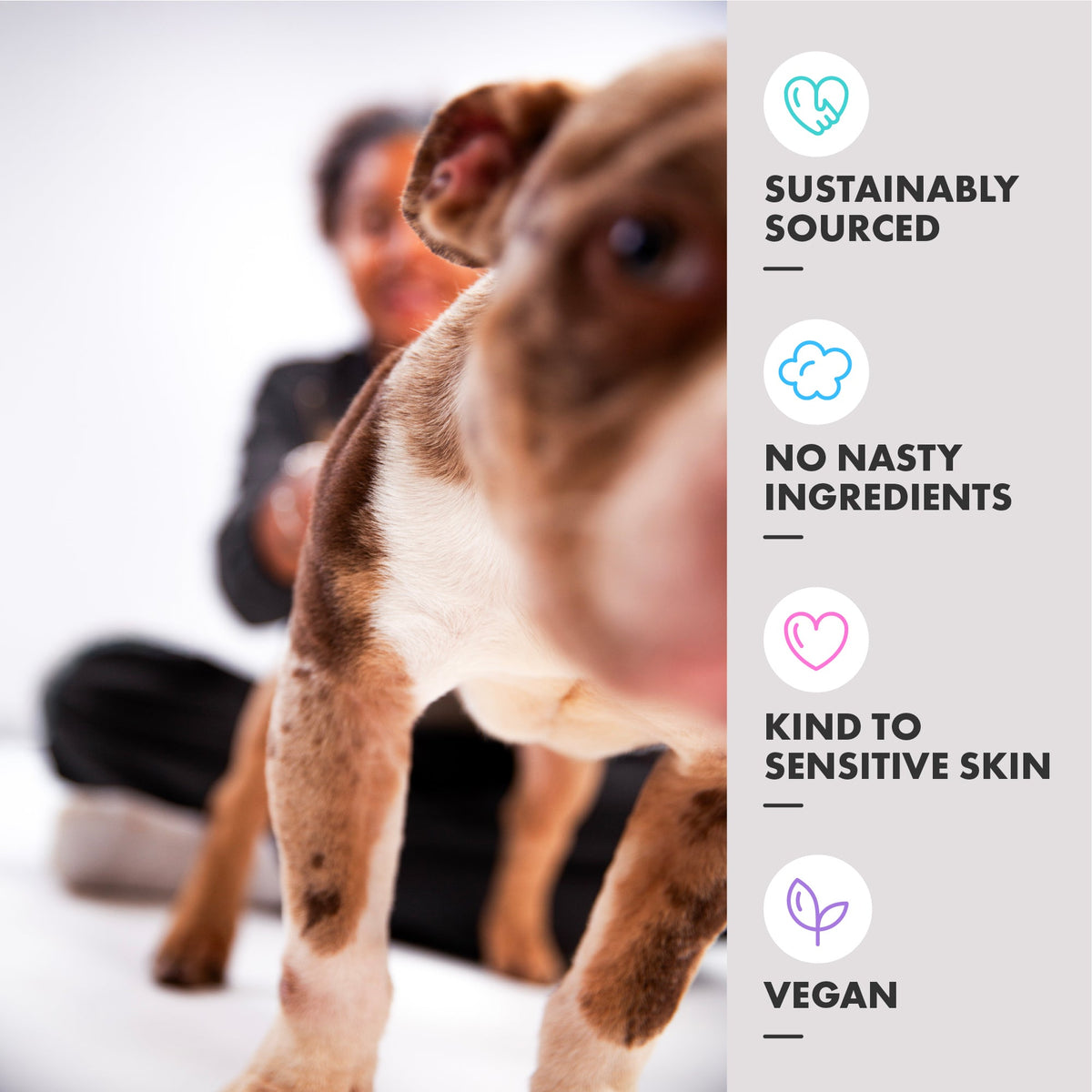 DotDotPet Puppy Dog Shampoo