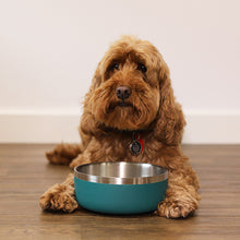 Rosewood Premium Pet Bowl - Teal - 700ml