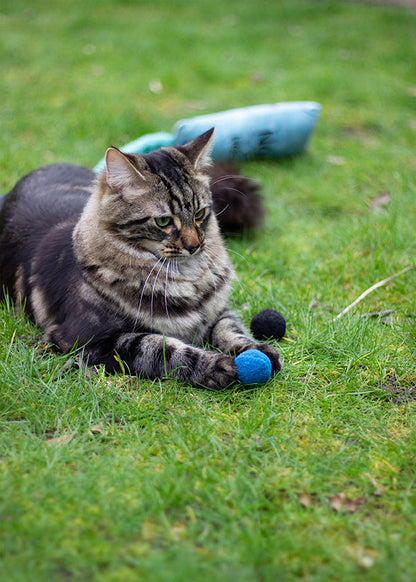 Battersea Pounce Cat Balls Cat Toy - 4 Pack
