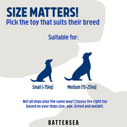 Battersea Rubber Belly Bear Dog Toy