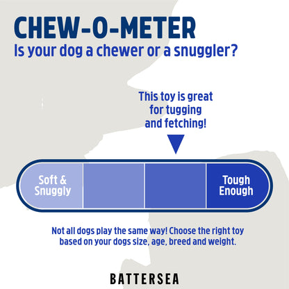 Battersea Rope & Rubber Triangle Dog Toy